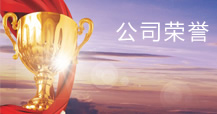 乐虎入口实力